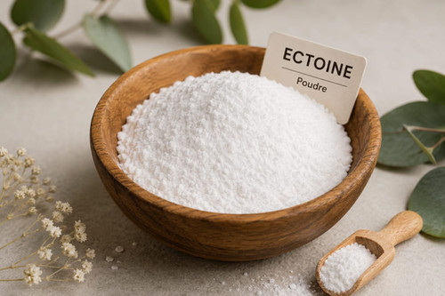 ÉCTOÏNE